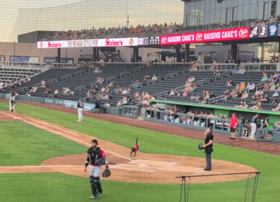 https://www.thelvballpark.com/
